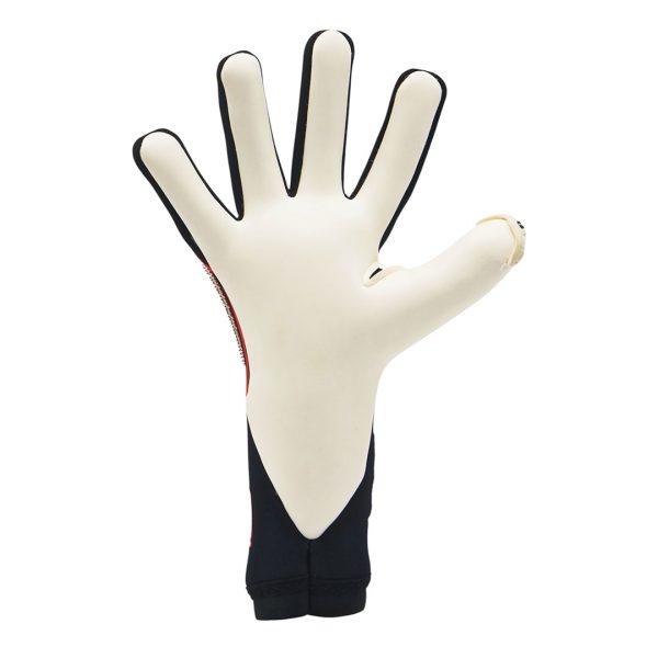 TORIDE EDICION LIMITADA X