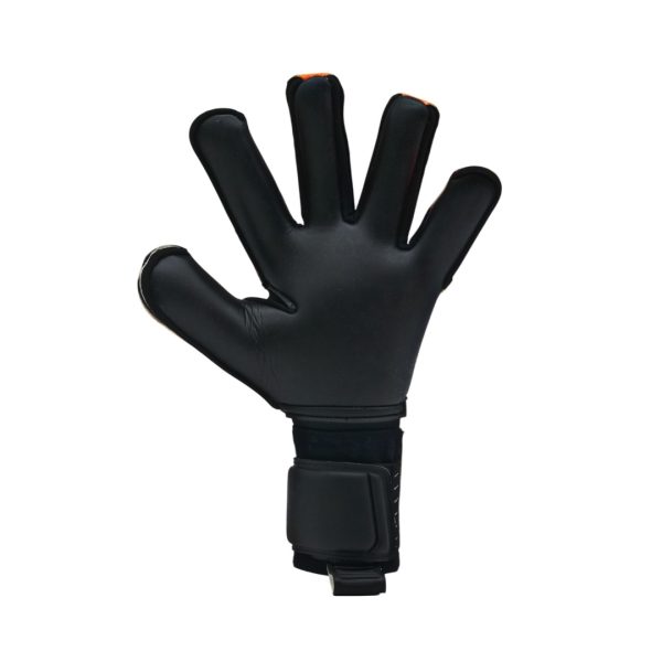 AEGIX 25 - 26